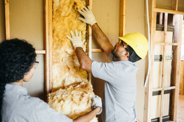 Eco-Friendly or Green Insulation Solutions